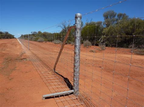 box to keep animals from being killed by electric fence|animal exclusion fence.